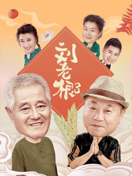 刘老根 第三部