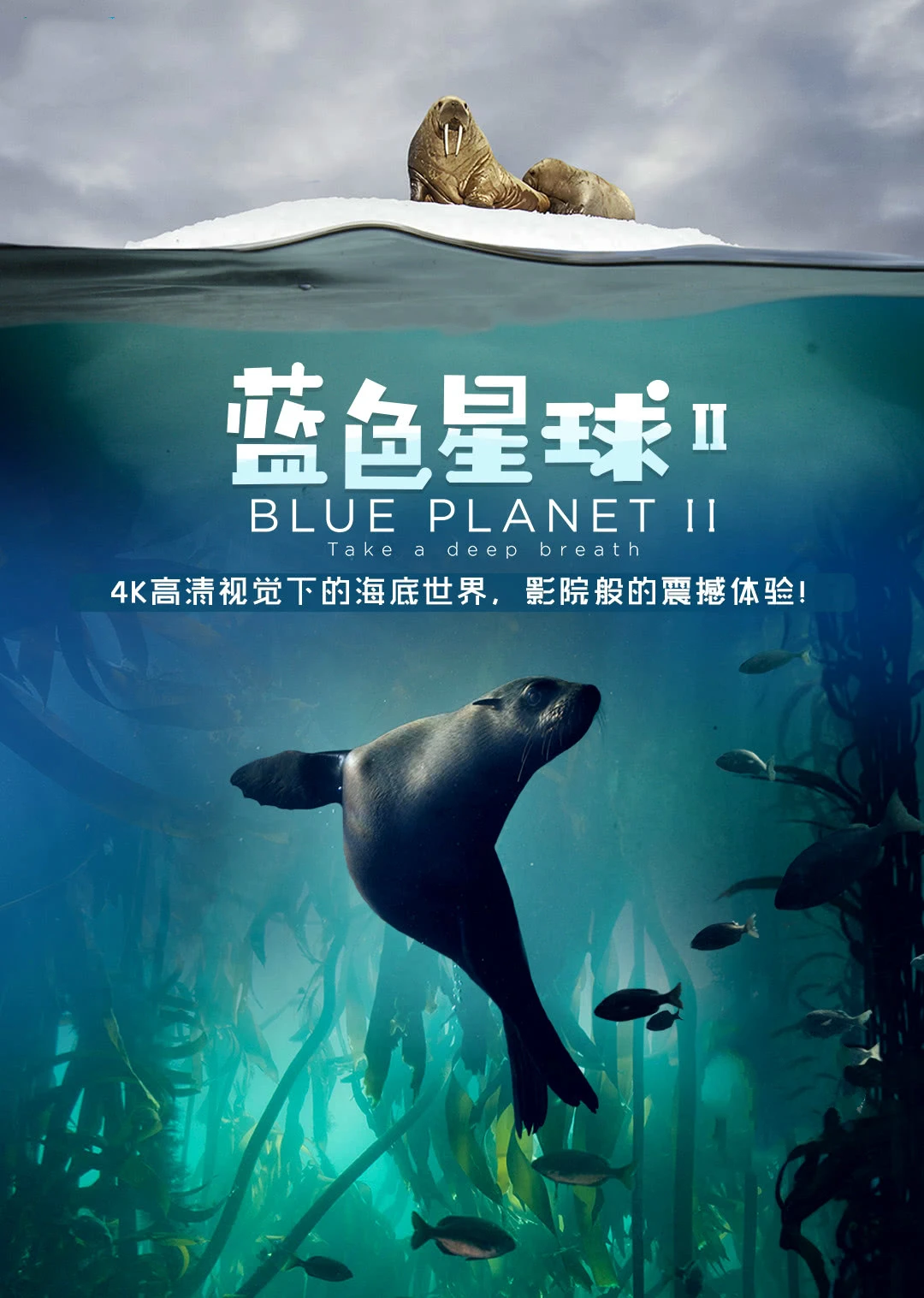 蓝色星球 第2季[英语]