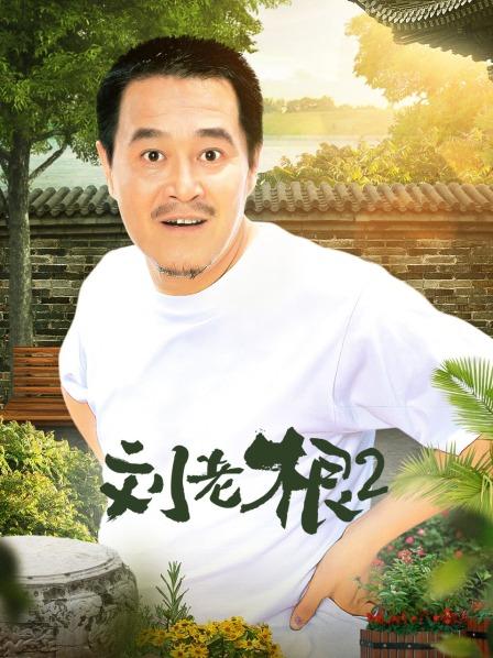 刘老根 第二部