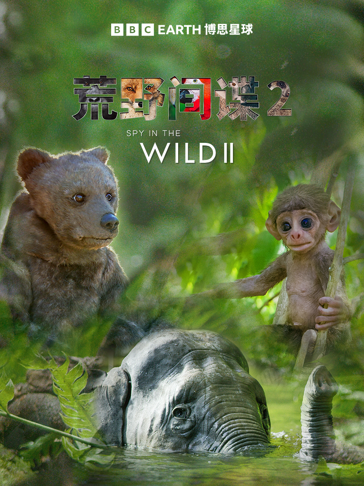 荒野间谍 第二季