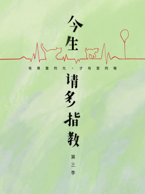 今生,请多指教3