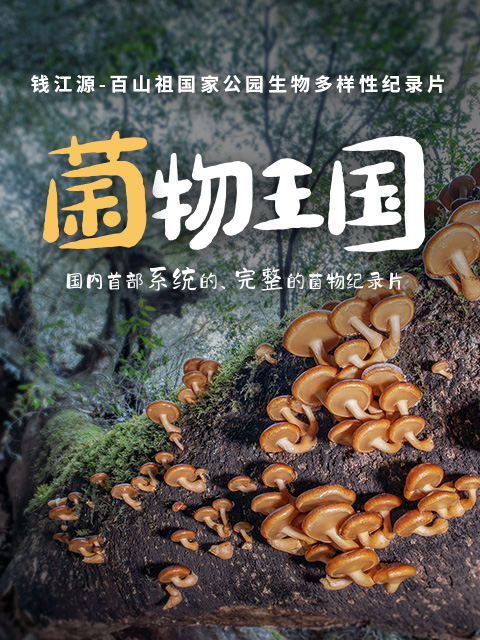 菌物王国