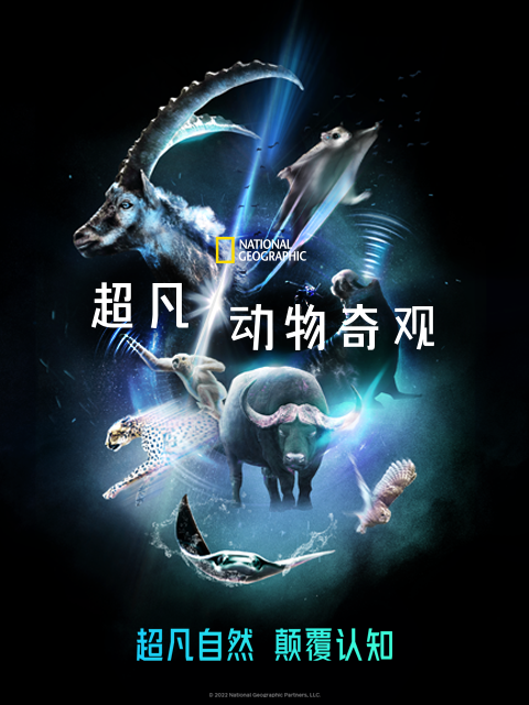 超凡动物奇观(中配版)