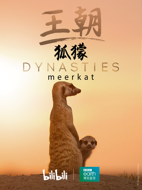 王朝 2:狐獴特辑