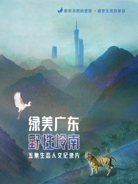 绿美广东 野性岭南