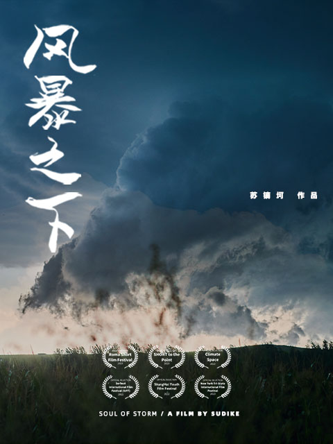 风暴之下