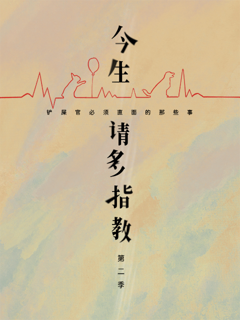 今生,请多指教2