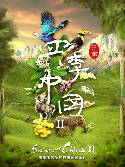 四季中国 第二季(云南篇)