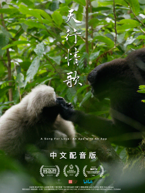 天行情歌(中配版)