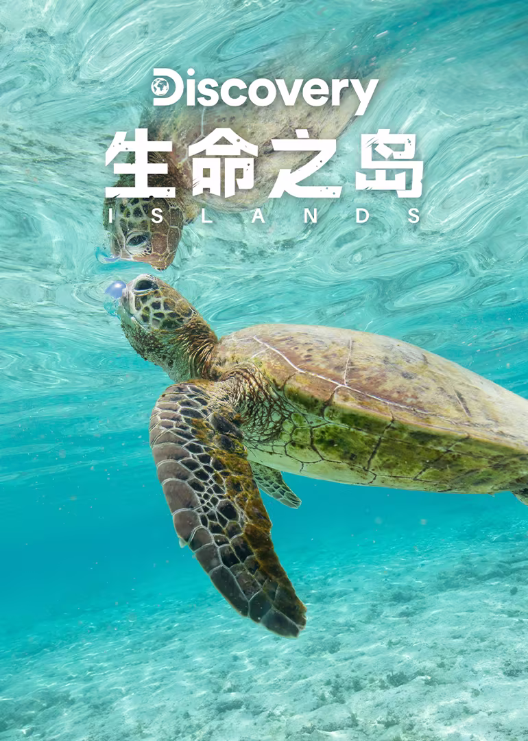 生命之岛[普通话版]
