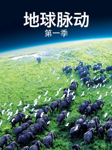 两极之间