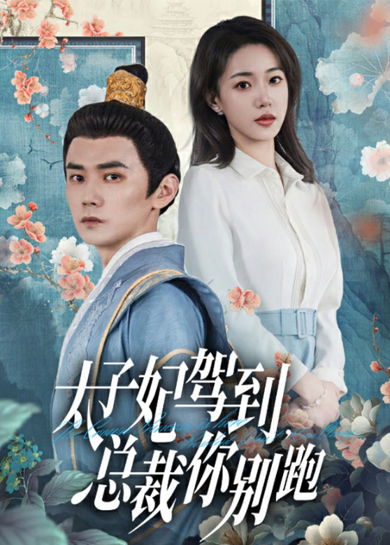 太子妃驾到,总裁你别跑