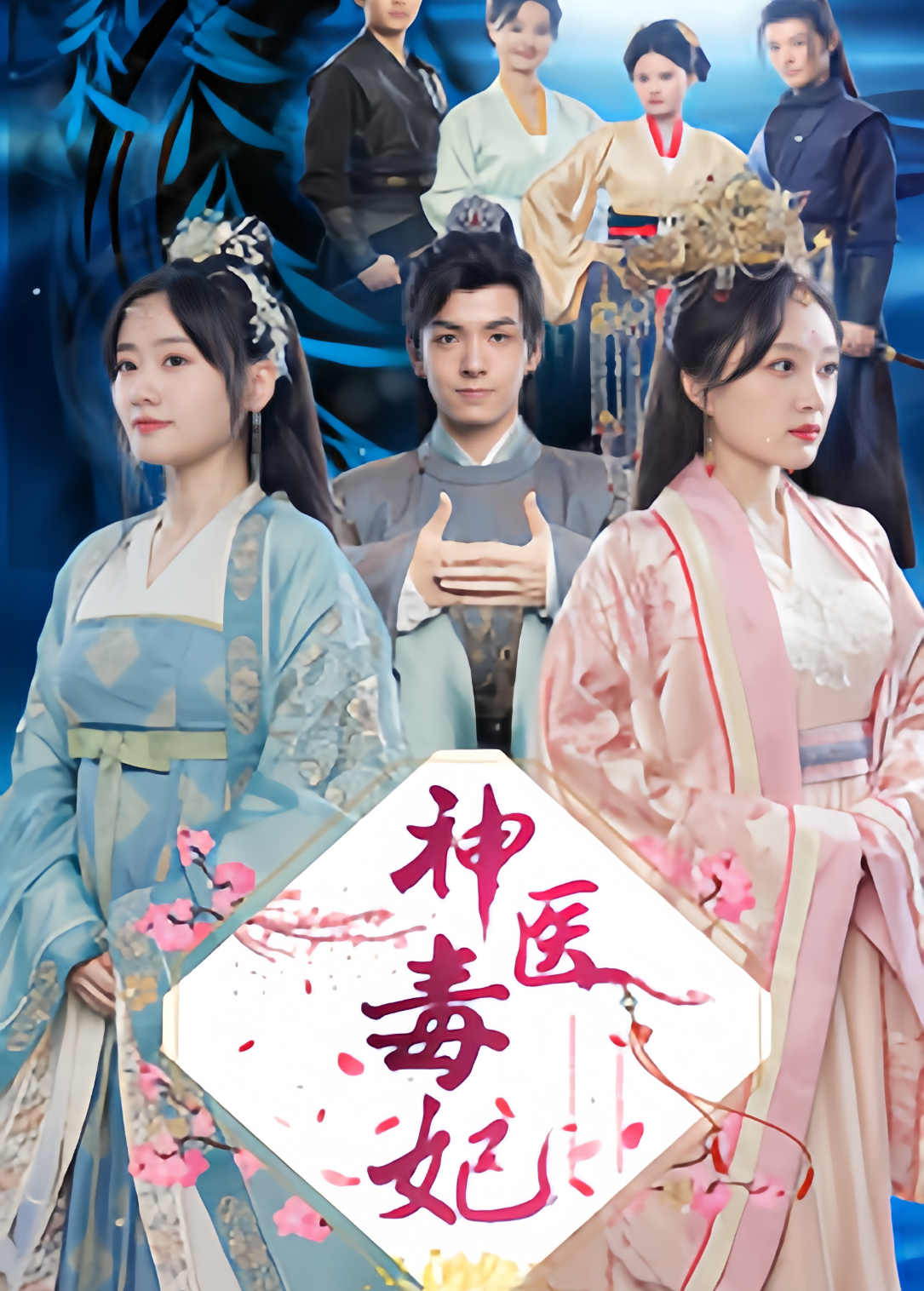 神医毒妃